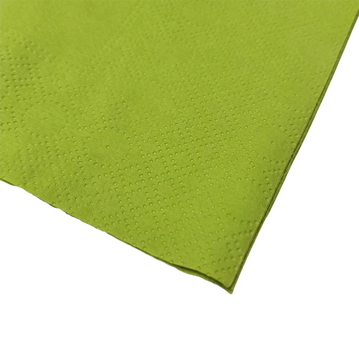 250 Tovaglioli 25x25 cm doppio velo verde cedro 4 250 Tovaglioli 25x25 cm doppio velo verde cedro - immagine 4