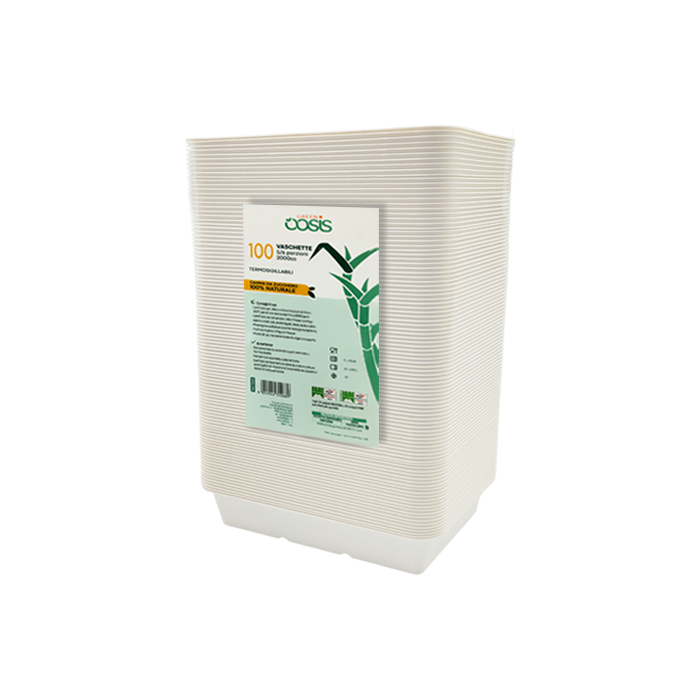 100 Vaschette 5-6 porzioni 2000cc canna da zucchero termosigillabili 26x19x4h 6 100 Vaschette 5-6 porzioni 2000cc canna da zucchero termosigillabili 26x19x4h - immagine 6
